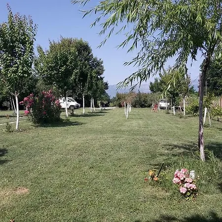 Family & Pet Friendly House