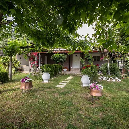Feriehus Family & Pet Friendly House