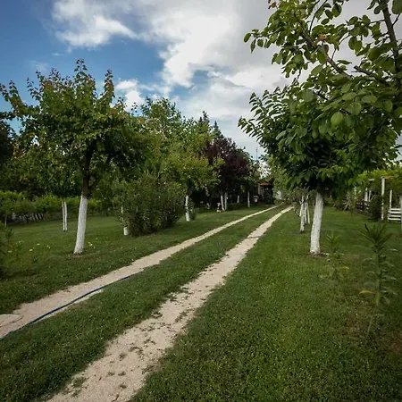 Family & Pet Friendly House * Tríkala